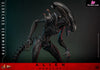 Alien: Romulus Scorched Xenomorph MMS784 (Licensed) Action Figure - Hottoys Studio [Pre-Order] Others