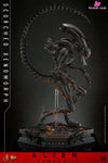 Alien: Romulus Scorched Xenomorph MMS784 (Licensed) Action Figure - Hottoys Studio [Pre-Order] Others