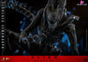 Alien: Romulus Scorched Xenomorph MMS784 (Licensed) Action Figure - Hottoys Studio [Pre-Order] Others