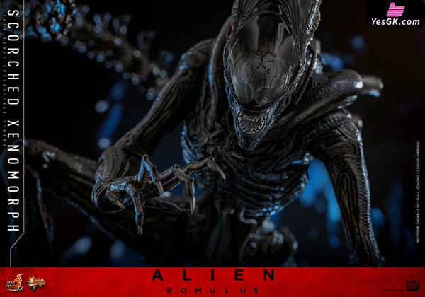 Alien: Romulus Scorched Xenomorph MMS784 (Licensed) Action Figure - Hottoys Studio [Pre-Order] Others
