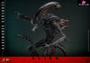 Alien: Romulus Scorched Xenomorph MMS784 (Licensed) Action Figure - Hottoys Studio [Pre-Order] Others
