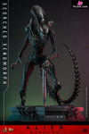 Alien: Romulus Scorched Xenomorph MMS784 (Licensed) Action Figure - Hottoys Studio [Pre-Order] Others