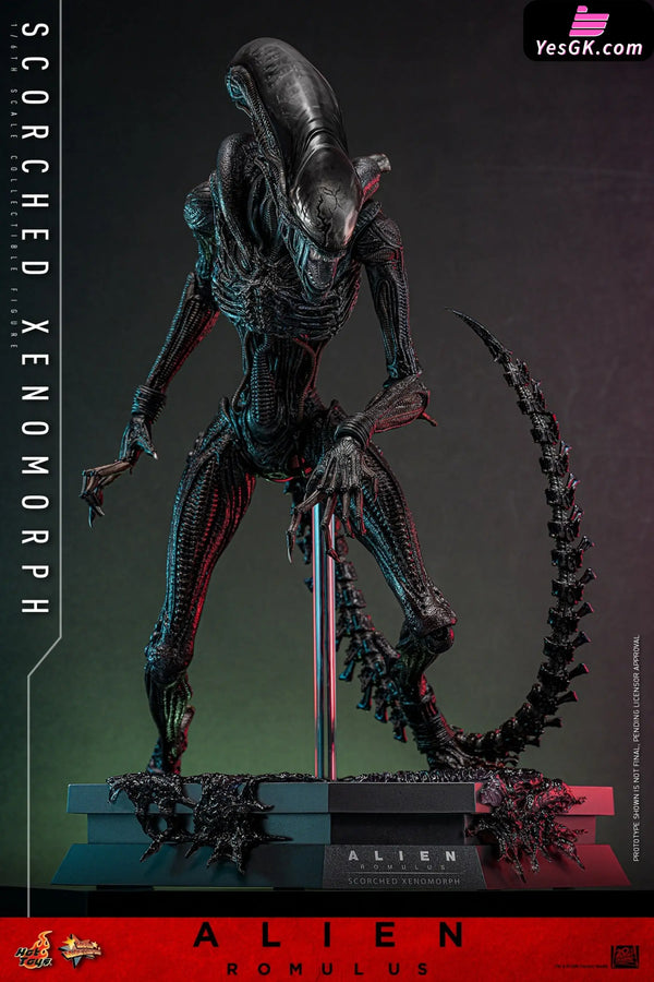 Alien: Romulus Scorched Xenomorph MMS784 (Licensed) Action Figure - Hottoys Studio [Pre-Order] Others