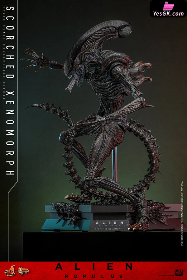 Alien: Romulus Scorched Xenomorph MMS784 (Licensed) Action Figure - Hottoys Studio [Pre-Order] Others