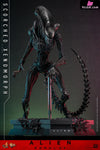 Alien: Romulus Scorched Xenomorph MMS784 (Licensed) Action Figure - Hottoys Studio [Pre-Order] Others