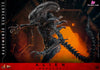 Alien: Romulus Scorched Xenomorph MMS784 (Licensed) Action Figure - Hottoys Studio [Pre-Order] Others