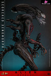 Alien: Romulus Scorched Xenomorph MMS784 (Licensed) Action Figure - Hottoys Studio [Pre-Order] Others