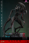 Alien: Romulus Scorched Xenomorph MMS784 (Licensed) Action Figure - Hottoys Studio [Pre-Order] Others
