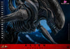 Alien: Romulus Scorched Xenomorph MMS784 (Licensed) Action Figure - Hottoys Studio [Pre-Order] Others