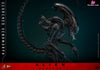 Alien: Romulus Scorched Xenomorph MMS784 (Licensed) Action Figure - Hottoys Studio [Pre-Order] Others