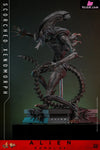 Alien: Romulus Scorched Xenomorph MMS784 (Licensed) Action Figure - Hottoys Studio [Pre-Order] Others