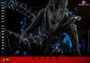 Alien: Romulus Scorched Xenomorph MMS784 (Licensed) Action Figure - Hottoys Studio [Pre-Order] Others
