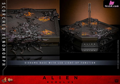 Alien: Romulus Scorched Xenomorph MMS784 (Licensed) Action Figure - Hottoys Studio [Pre-Order] Others