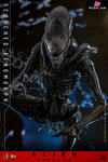 Alien: Romulus Scorched Xenomorph MMS784 (Licensed) Action Figure - Hottoys Studio [Pre-Order] Others