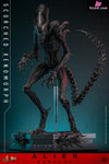 Alien: Romulus Scorched Xenomorph MMS784 (Licensed) Action Figure - Hottoys Studio [Pre-Order] Others