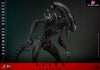 Alien: Romulus Scorched Xenomorph MMS784 (Licensed) Action Figure - Hottoys Studio [Pre-Order] Others