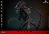 Alien: Romulus Scorched Xenomorph MMS784 (Licensed) Action Figure - Hottoys Studio [Pre-Order] Others