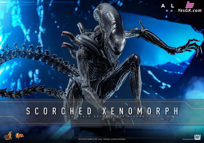 Alien: Romulus Scorched Xenomorph MMS784 (Licensed) Action Figure - Hottoys Studio [Pre-Order] Others