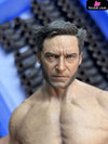 Artist co-branded statue Wolverine - IMAGE Studio [In-Stock] - Full Payment - MARVEL