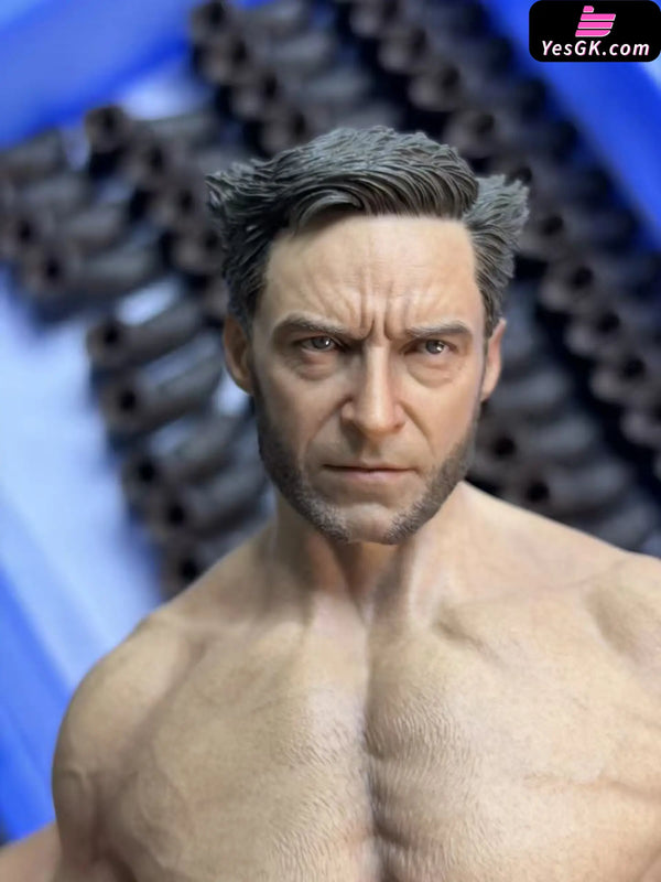 Artist co-branded statue Wolverine - IMAGE Studio [In-Stock] - Full Payment - MARVEL