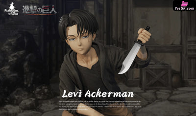 Attack On Titan Childhood Series #2 Levi Ackerman Statue - Freedom Studio [In-Stock]