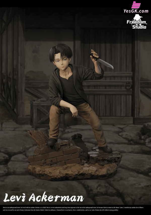 Attack On Titan Childhood Series #2 Levi Ackerman Statue - Freedom Studio [In-Stock]