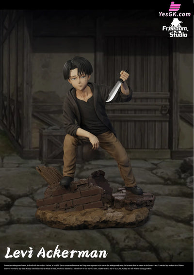 Attack On Titan Childhood Series #2 Levi Ackerman Statue - Freedom Studio [In-Stock]