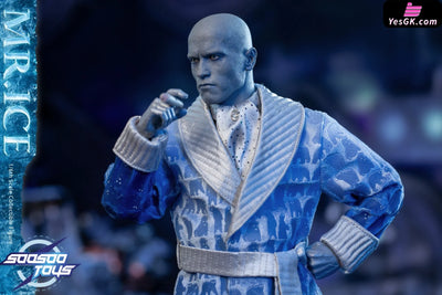 DC SST-057 Mr. Freeze Action Figure - Soosootoys Studio [Cancel Production] DC Comics