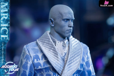 DC SST-057 Mr. Freeze Action Figure - Soosootoys Studio [Cancel Production] DC Comics