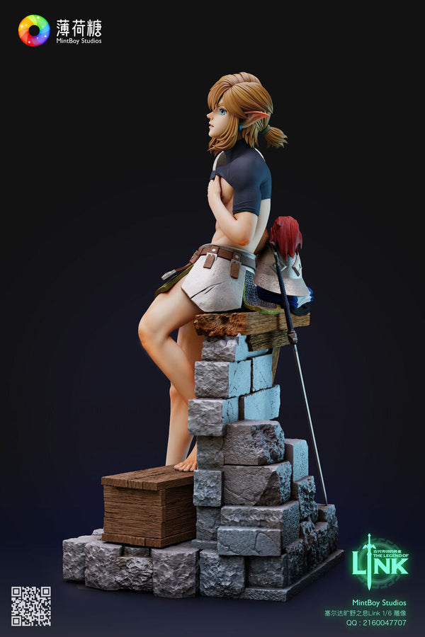 Zelda Legend Trainees Link 1/6 GK Statue - MintBoy Studio [In-Stock]