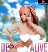 Dead Or Alive Honoka Gk Statue - Yomi Studio [Pre-Order] Deposit / 1/4 Scale Others