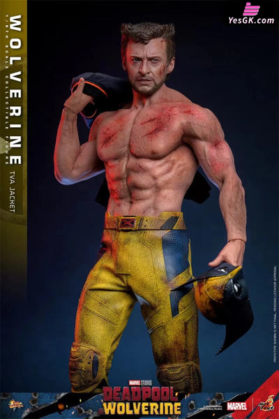 Marvel Deadpool & Wolverine Wolverine(Tva Uniform Version)16 Mms756 (Licensed) Statue - Hottoys