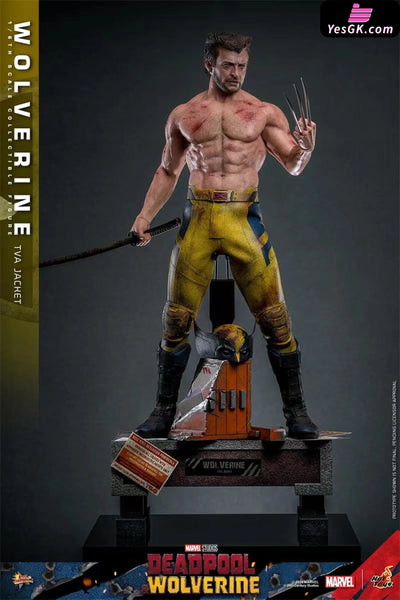 Marvel Deadpool & Wolverine Wolverine(Tva Uniform Version)16 Mms756 (Licensed) Statue - Hottoys