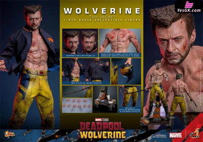 Marvel Deadpool & Wolverine Wolverine(Tva Uniform Version)16 Mms756 (Licensed) Statue - Hottoys