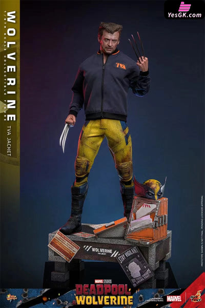 Marvel Deadpool & Wolverine Wolverine(Tva Uniform Version)16 Mms756 (Licensed) Statue - Hottoys