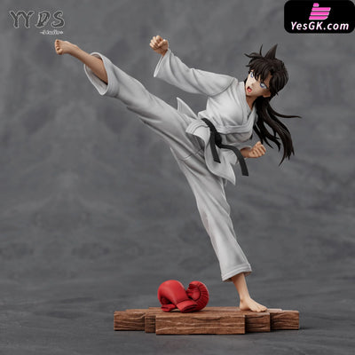 Detective Conan Karate Mouri Ran GK Statue YYDS Studio [Pre Order] Detective Conan