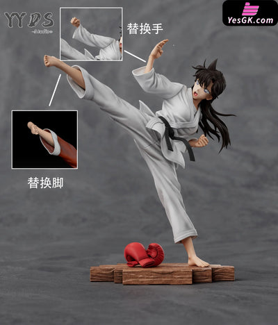 Detective Conan Karate Mouri Ran GK Statue YYDS Studio [Pre Order] Detective Conan