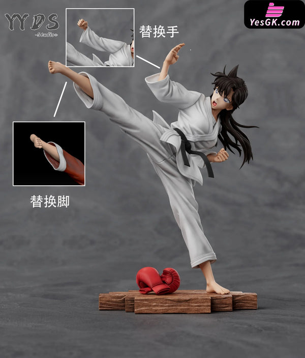 Detective Conan Karate Mouri Ran GK Statue YYDS Studio [Pre Order] Detective Conan