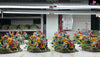 Digimon Collection GK Statue - Butterfly Studio [In-Stock] - Full Payment - Digimon
