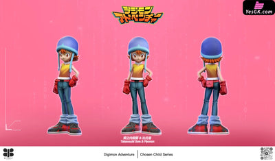 Digimon Sora Takenouchi and Piyomon GK Statue - Butterfly Studio [Pre-Order] Digimon