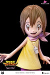 Digimon The Chosen Children Series Kari Kamiya & Tailmon GK Statue - Butterfly Studio [In-Stock] - Digimon