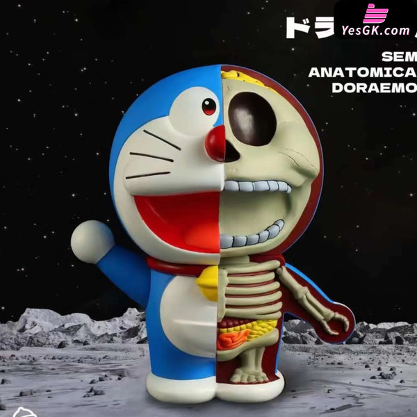 Doraemon Anatomy Series- Statue - Dingdang Studio [Pre-Order]