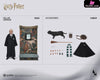 Draco Malfoy 1/6 Scale Figure Ag-A019S1 Ag-A019D1 (Licensed) - INART Studio [Pre-Order] Others