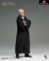 Draco Malfoy 1/6 Scale Figure Ag-A019S1 Ag-A019D1 (Licensed) - INART Studio [Pre-Order] Others