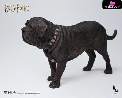 Draco Malfoy 1/6 Scale Figure Ag-A019S1 Ag-A019D1 (Licensed) - INART Studio [Pre-Order] Others