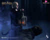 Draco Malfoy 1/6 Scale Figure Ag-A019S1 Ag-A019D1 (Licensed) - INART Studio [Pre-Order] Others