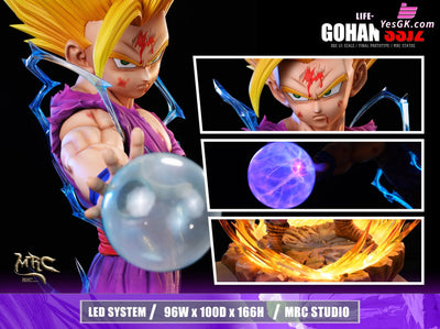 Dragon Ball 1/1 Super Saiyan 2 Gohan GK Statue - MRC Studio [Pre-Order] Dragon Ball