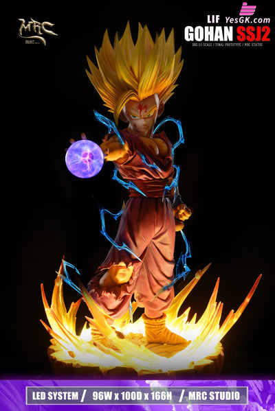 Dragon Ball 1/1 Super Saiyan 2 Gohan GK Statue - MRC Studio [Pre-Order] Dragon Ball
