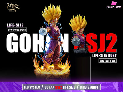 Dragon Ball 1/1 Super Saiyan 2 Gohan GK Statue - MRC Studio [Pre-Order] Dragon Ball