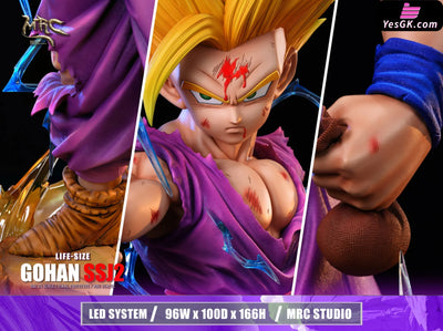 Dragon Ball 1/1 Super Saiyan 2 Gohan GK Statue - MRC Studio [Pre-Order] Dragon Ball